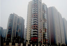 临沂中粮油库
